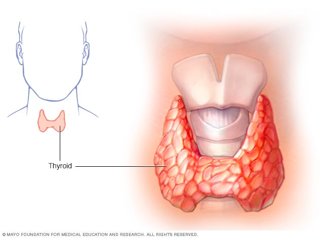 Hypothyroidism Symptoms And Causes Mayo Clinic