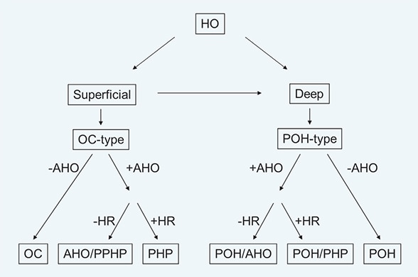 Diagnostic algorithm for distinguishing PHP