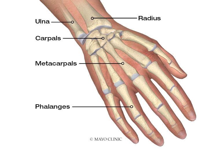 nerve damage hand  cut
