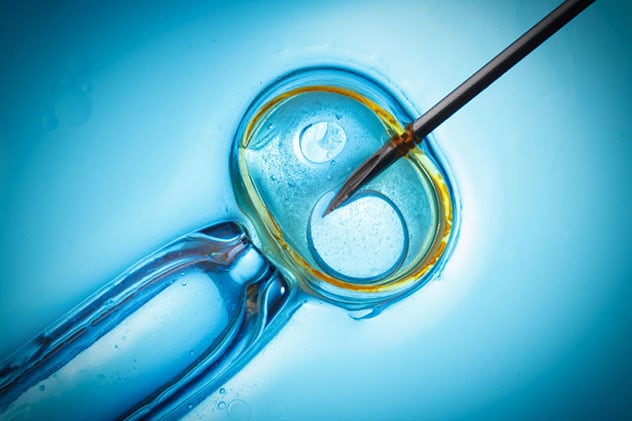 Fertilización in vitro del óvulo con aguja. Concepto macro de la fertilización in vitro