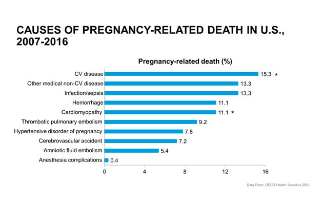 Causas de muerte relacionada con el embarazo en los EE. UU.