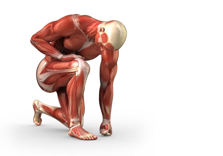 Got glutes? Part 1 — The role of the gluteus maximus and healthy