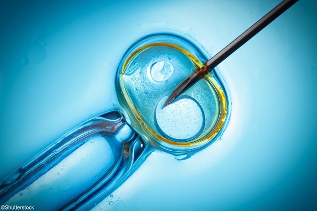 In vitro fertilization