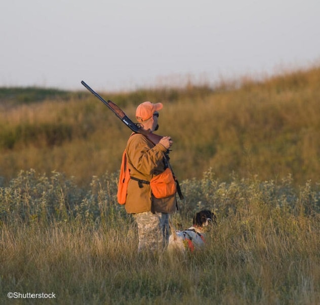 Hunter with gun and dog