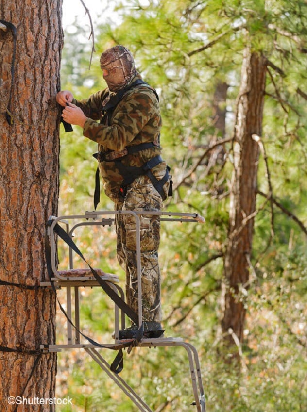 Tree stand