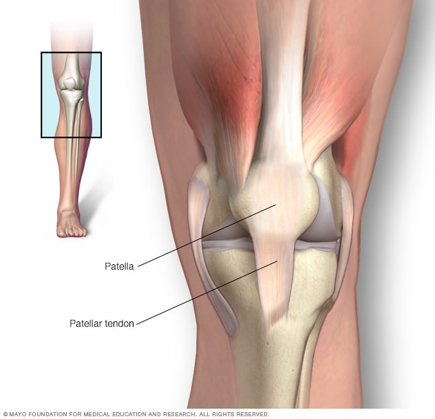 pain below knee cap on bone