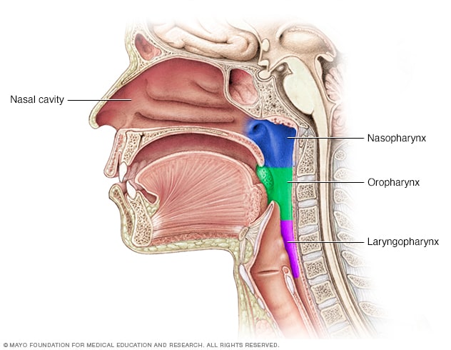 Nasopharyngeal carcinoma - Symptoms and causes - Mayo Clinic