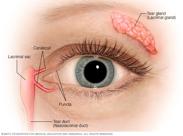 سنتحدث اليوم عن سرطان العين انواعه مركزالأمل لعلاج الأورام والكشف المبكرal Aamal Specialized Oncology Center Facebook