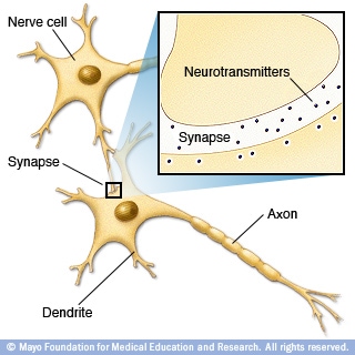 Ilustración que muestra cómo se comunican los nervios