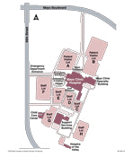 Maps Of Mayo Clinic Hospital In Arizona Arizona Patient And Visitor   Mchcampus Bdy.ashx