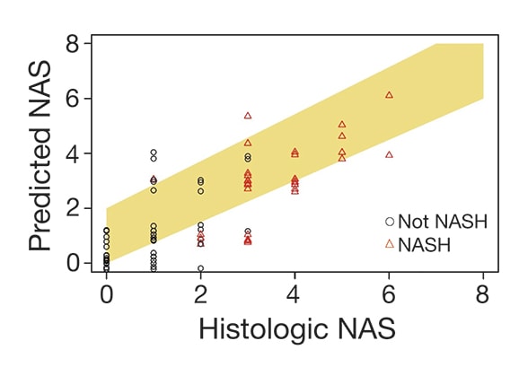Concordancia relativa entre el NAS (puntaje de actividad de la enfermedad por hígado graso no alcohólico) predictivo basado en la resonancia magnética y el NAS histológico