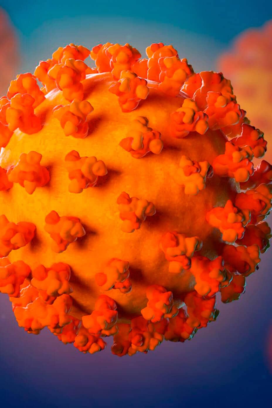 فيروس المتلازمة التنفسية الحادة الوخيمة كورونا 2 (SARS-CoV-2)، الفيروس المسبب لكوفيد-19