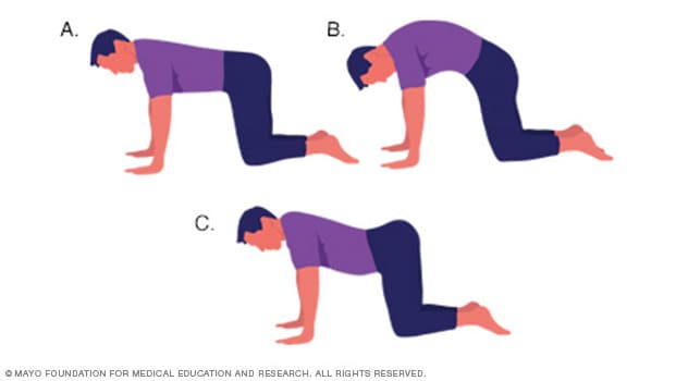 lower back muscle strain stretches