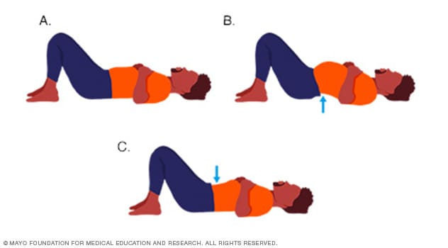 Estiramientos para la espalda (y el dolor de espalda) - Quintana Massages