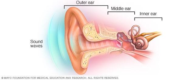 How you hear - Mayo Clinic