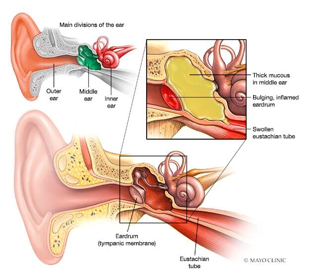 inside ear canal